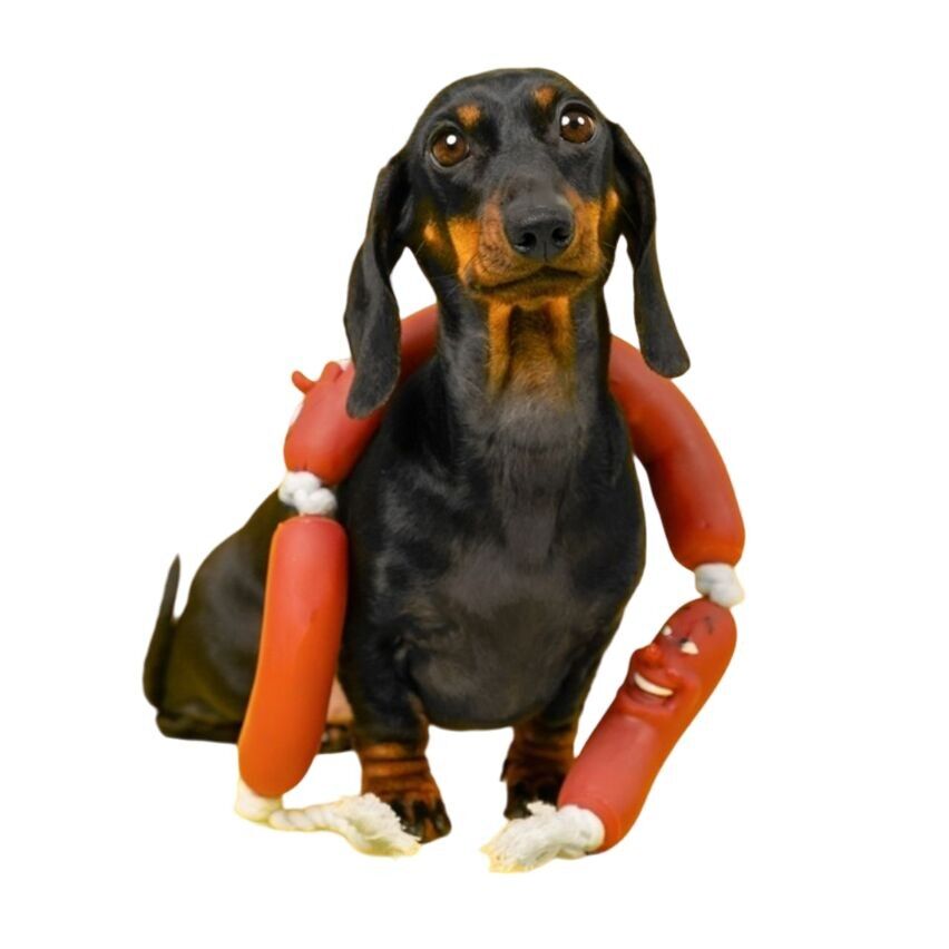 Barktastic Treats LTD