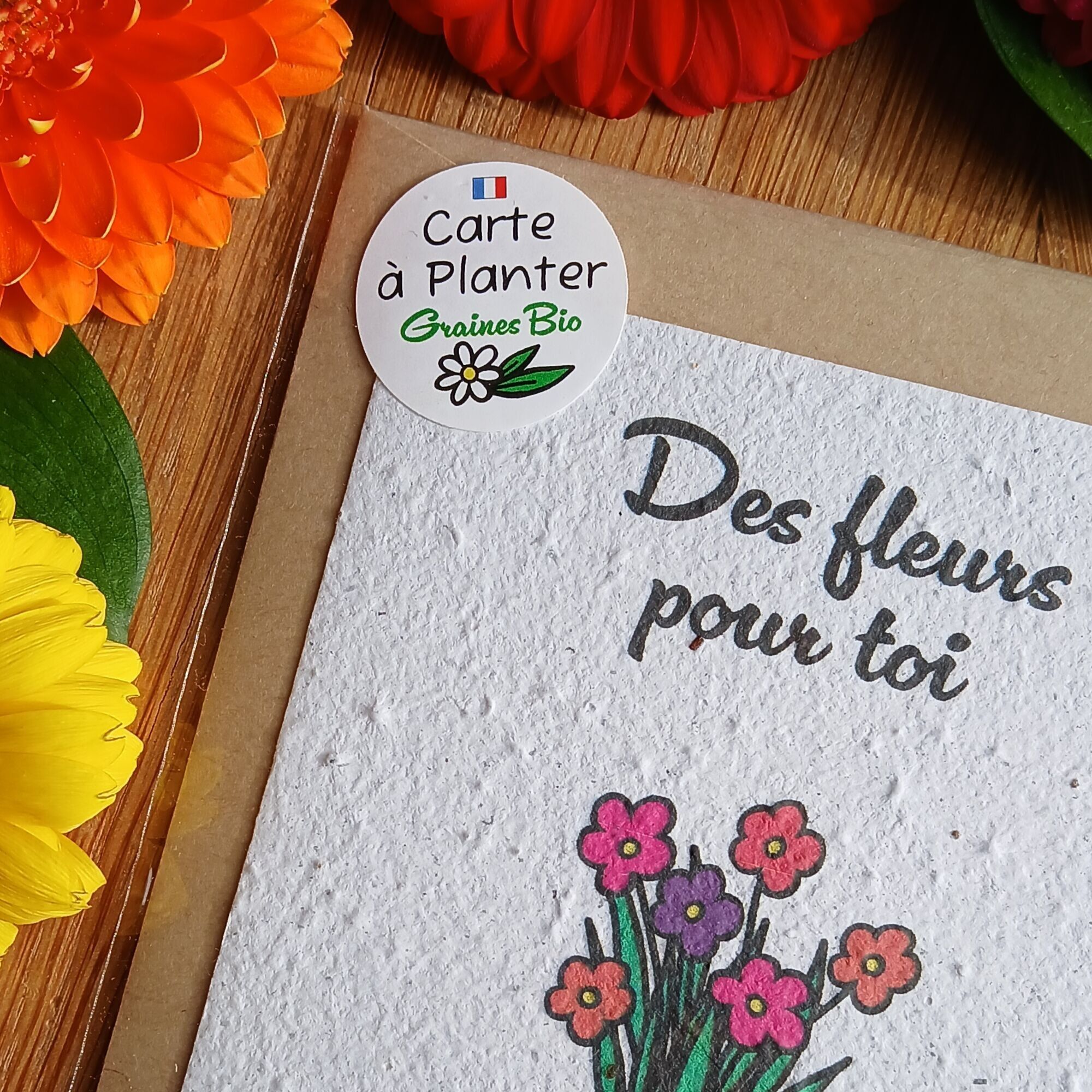 Libellule et Petit Papillon