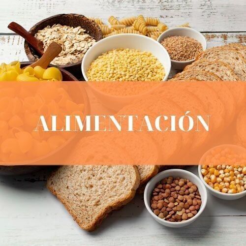 SOLO SIN GLUTEN