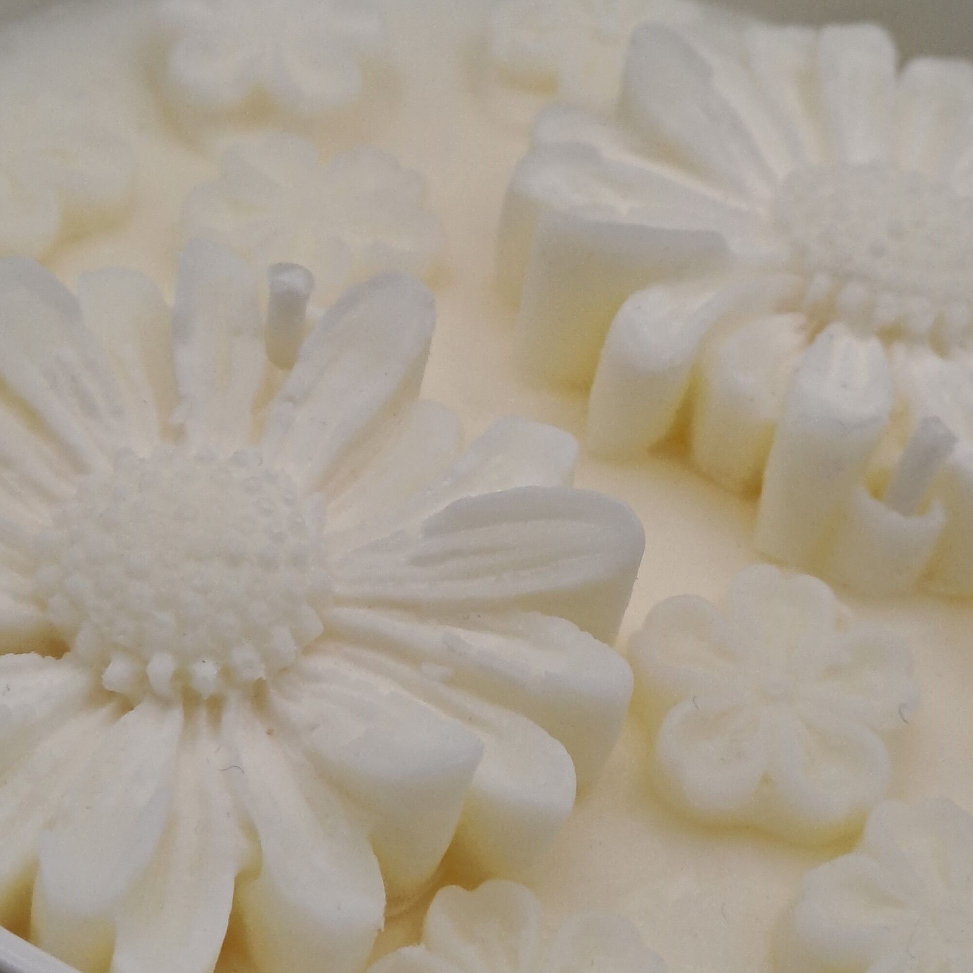 Aux fragrances de Céline