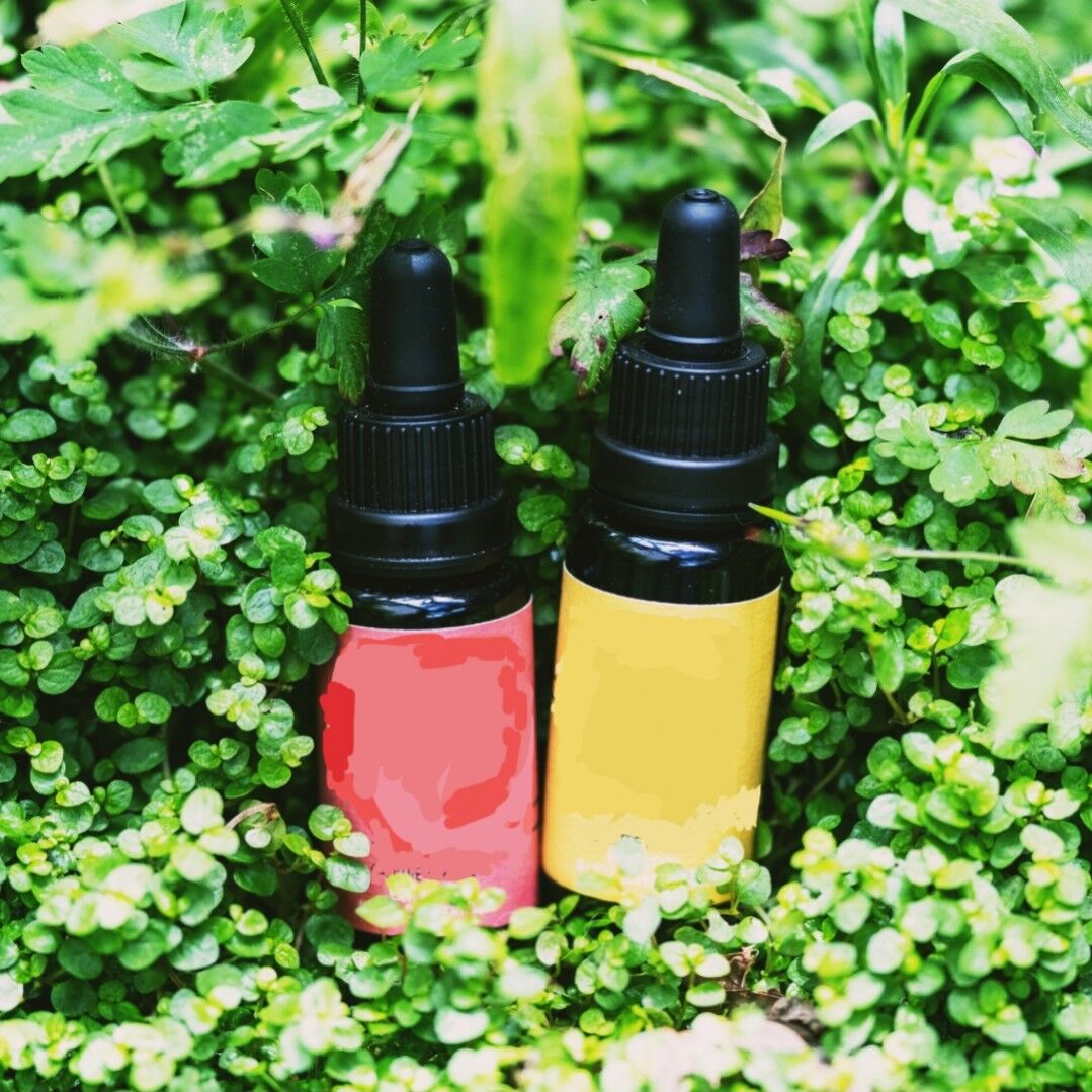 Les Plantes au Naturel