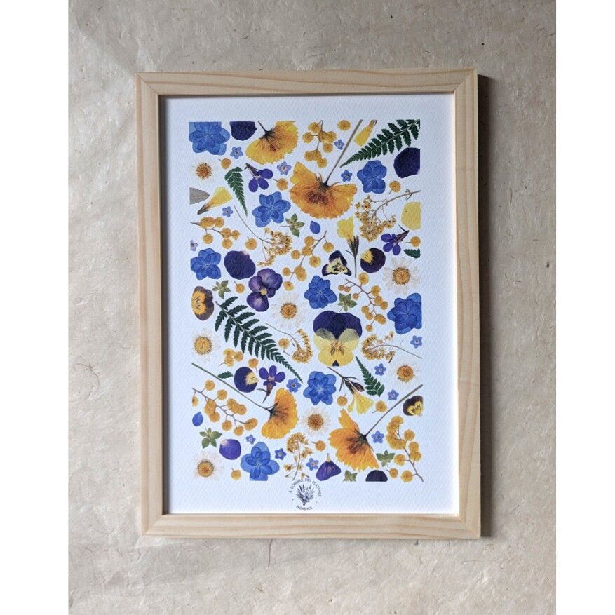 A l'ombre des platanes Provence