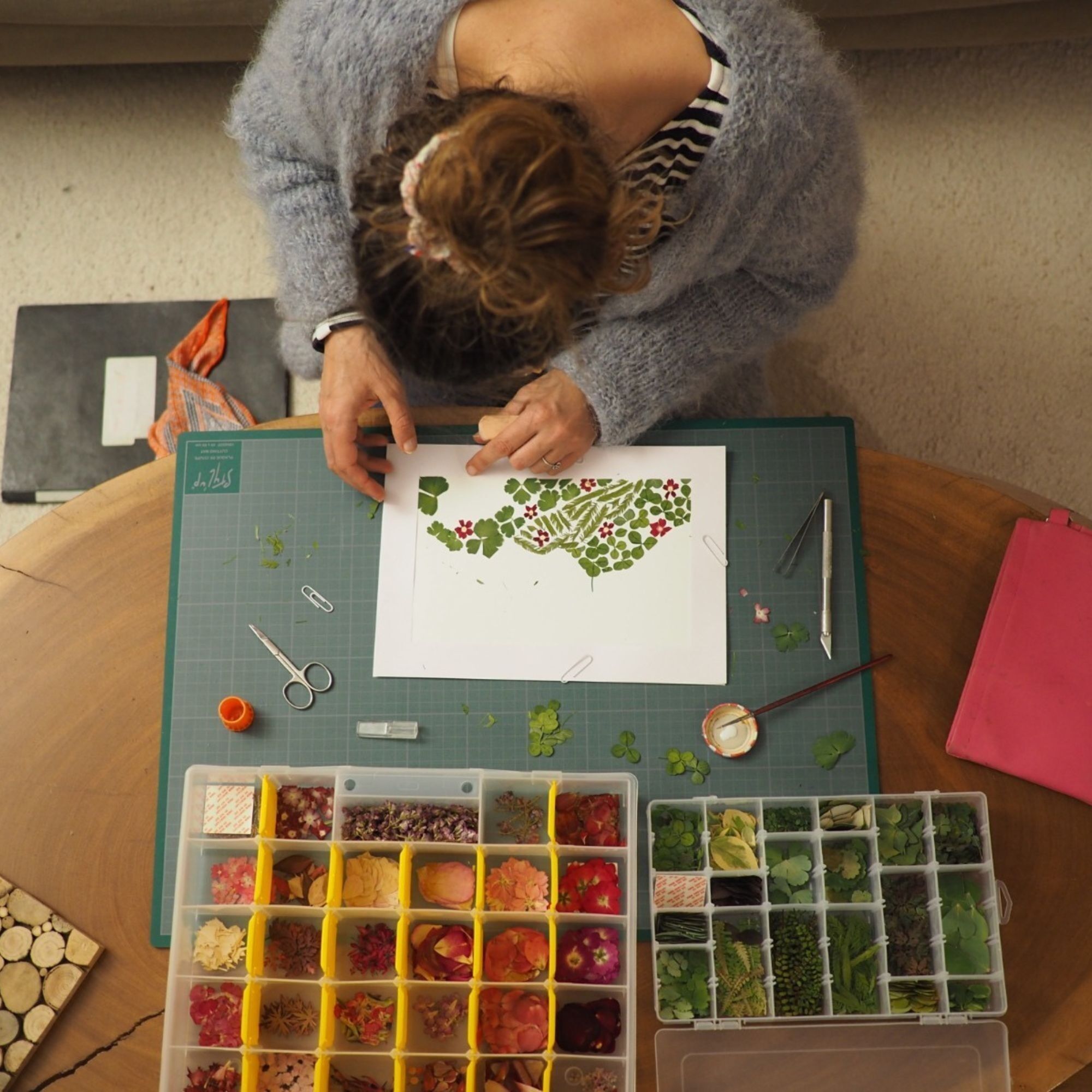 Mes petites fleurs d'Auvergne