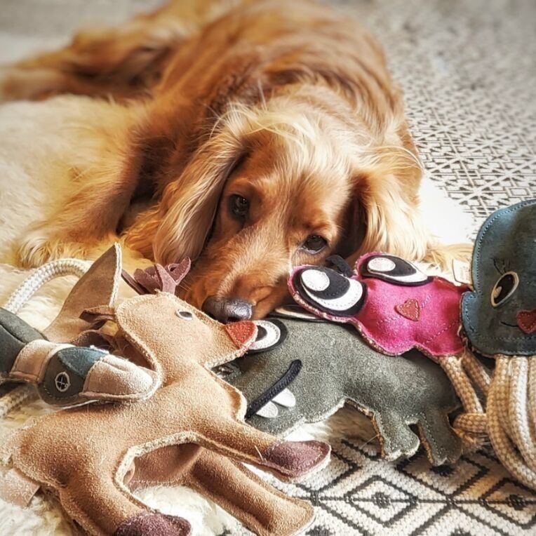 Fräulein Plath -green petshop-