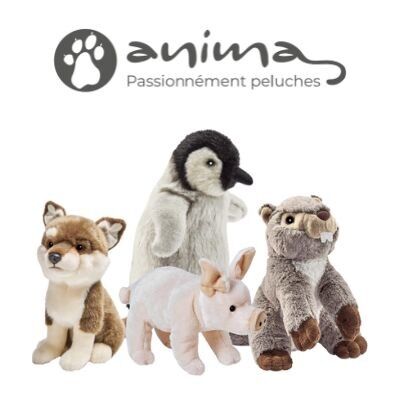 Anima / Hansa creation