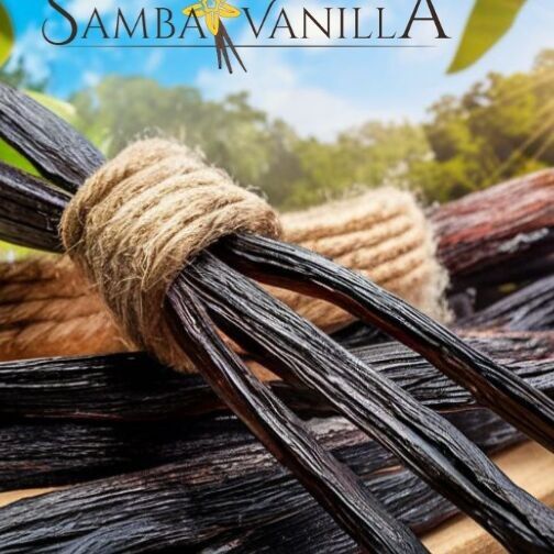 Sambavanilla