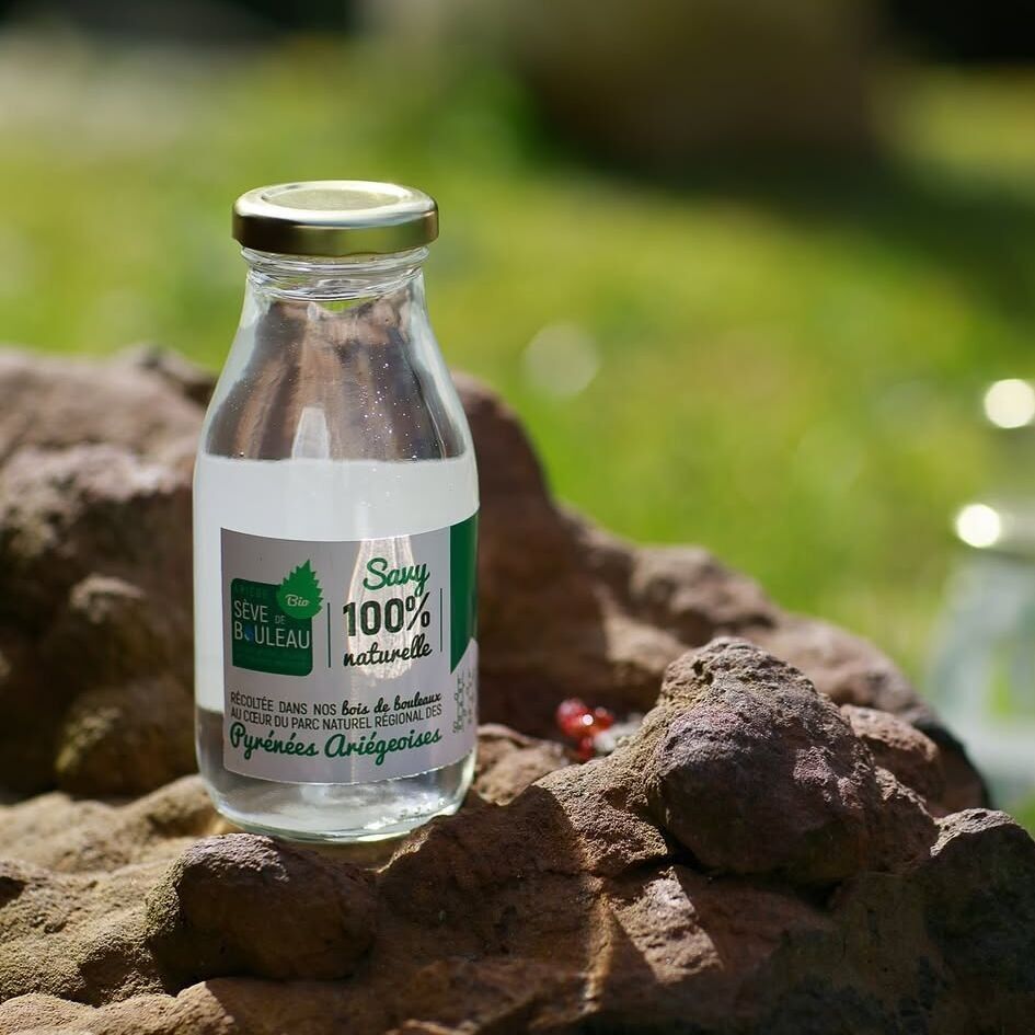 ariege seve de bouleau