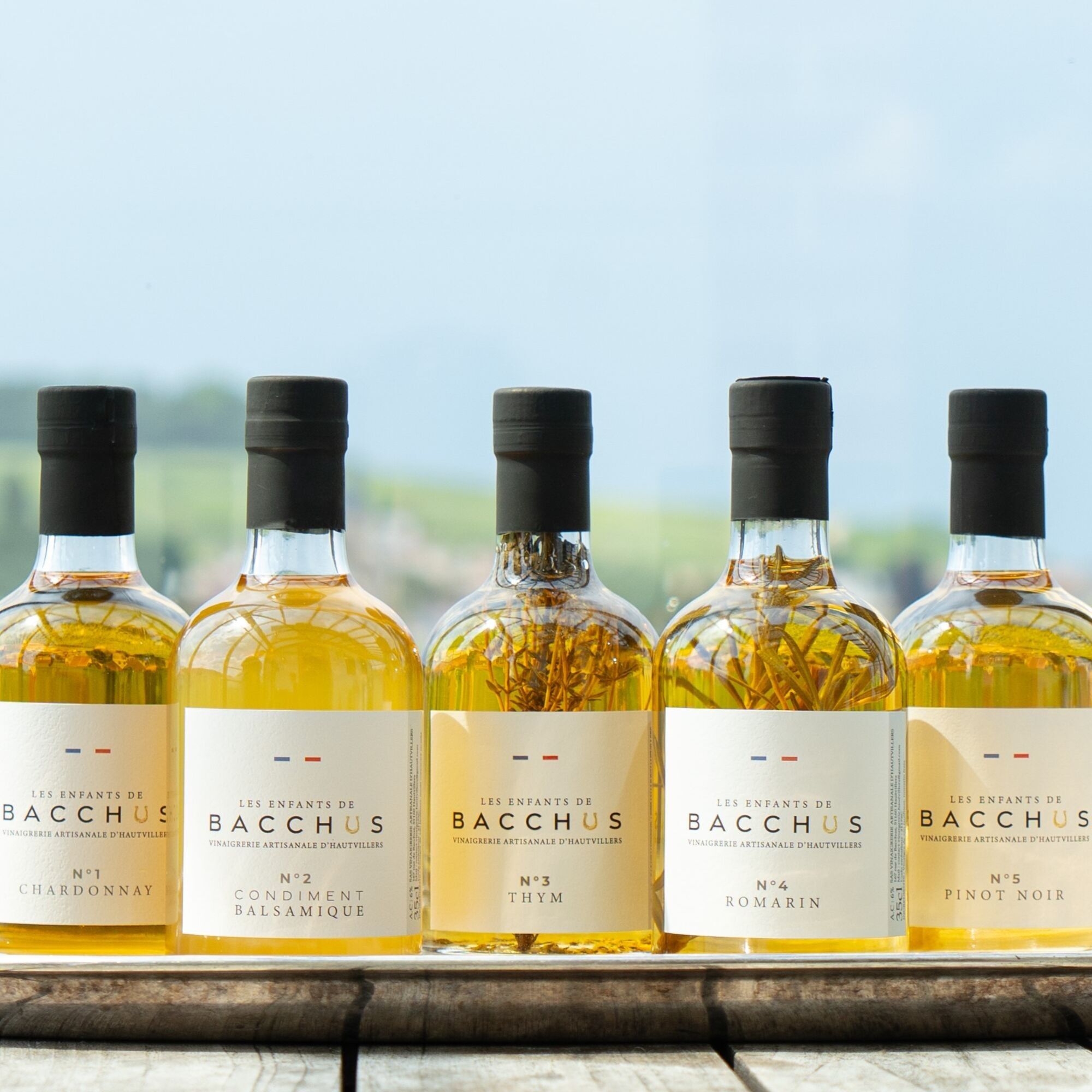 LES ENFANTS DE BACCHUS