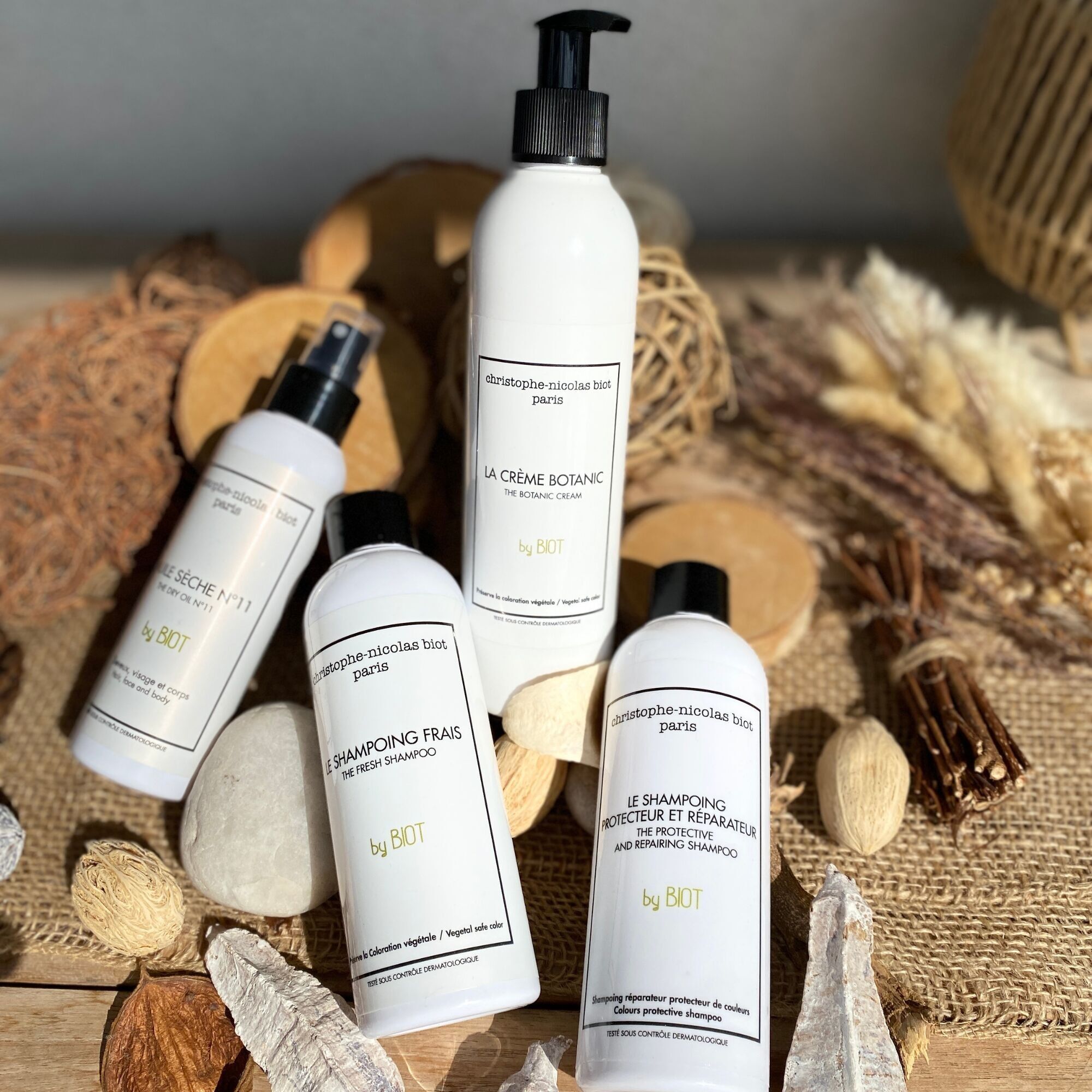 Christophe Nicolas Biot