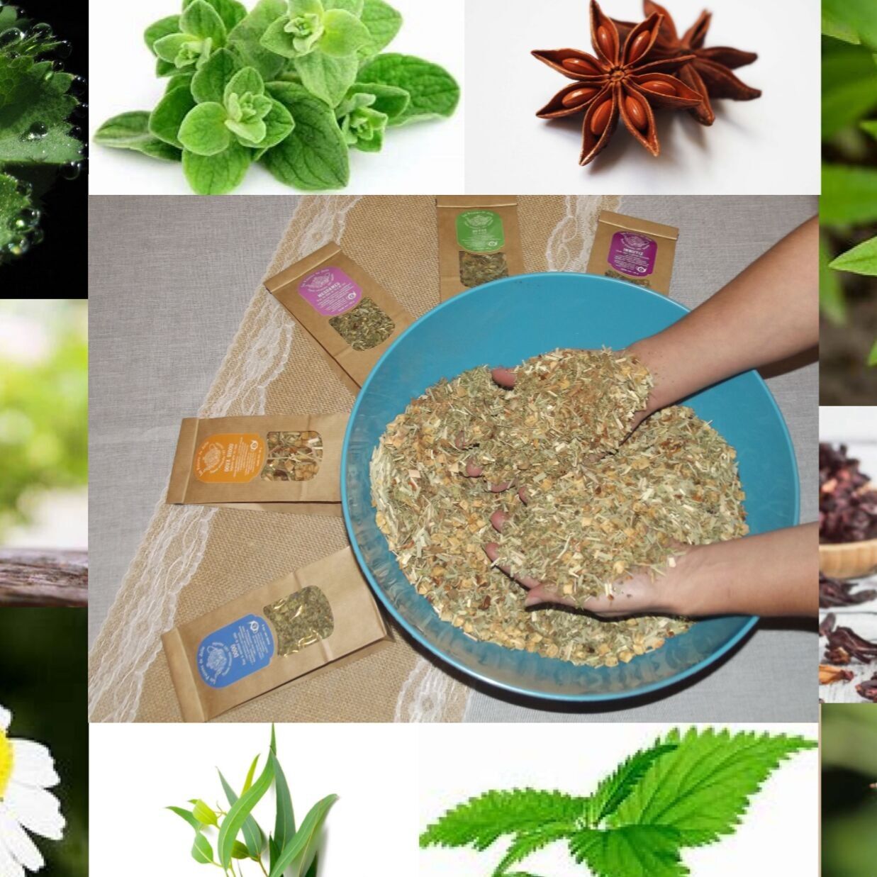 Les potions de Julie