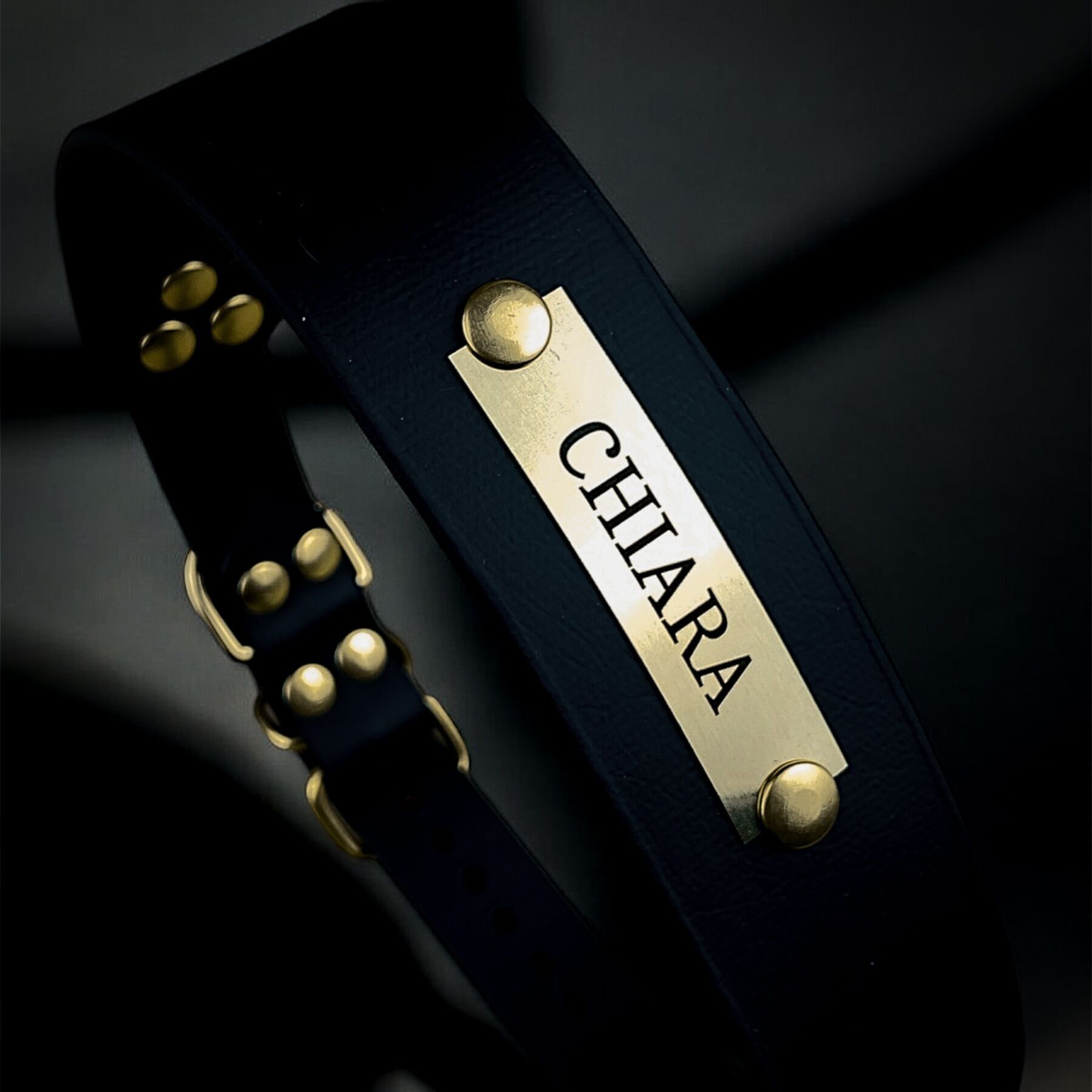 Athena & Co Dog store