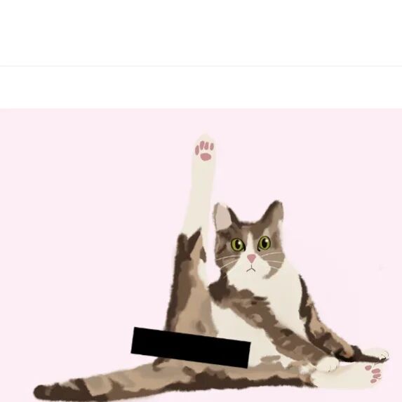 Katzenmuddi