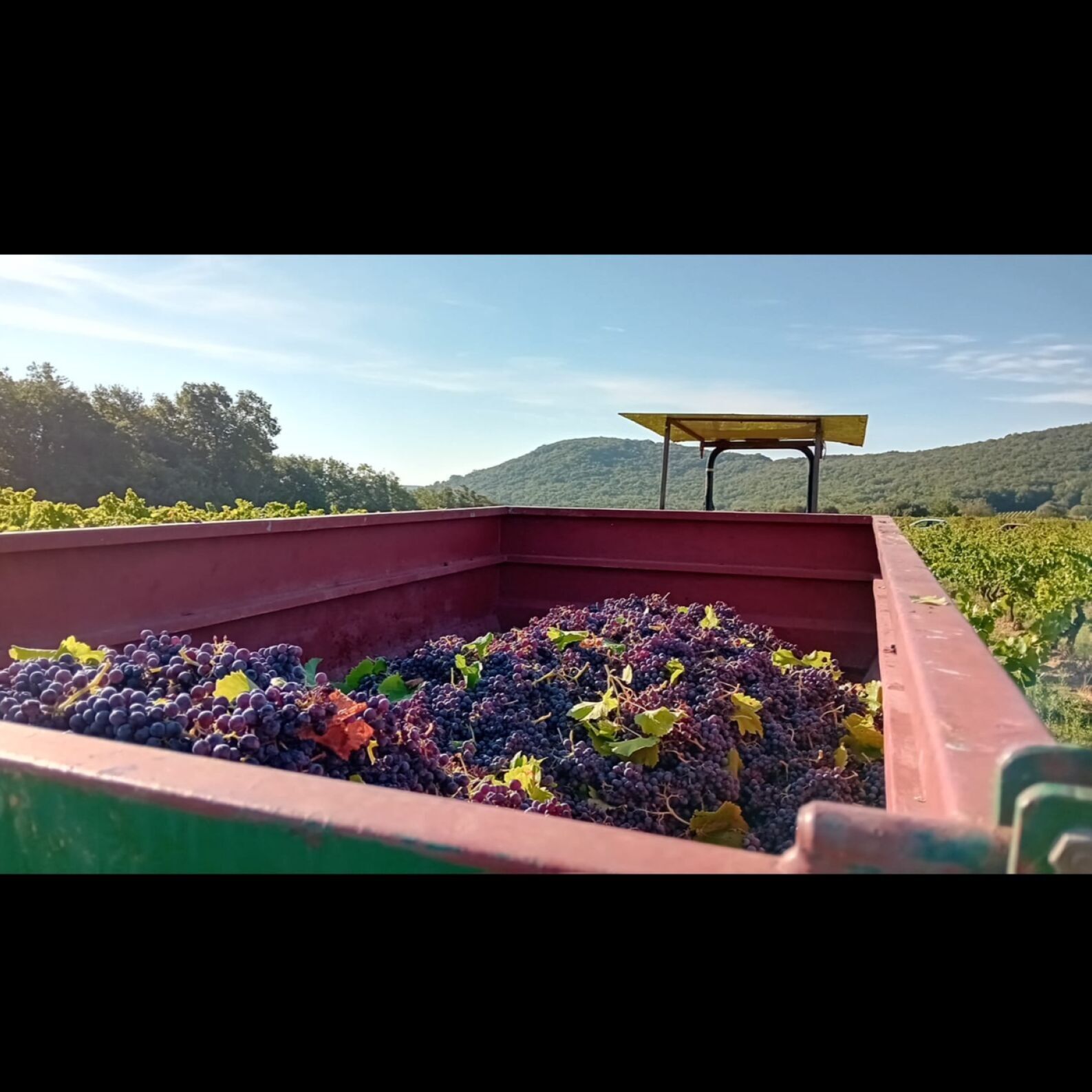 Château de Marjolet