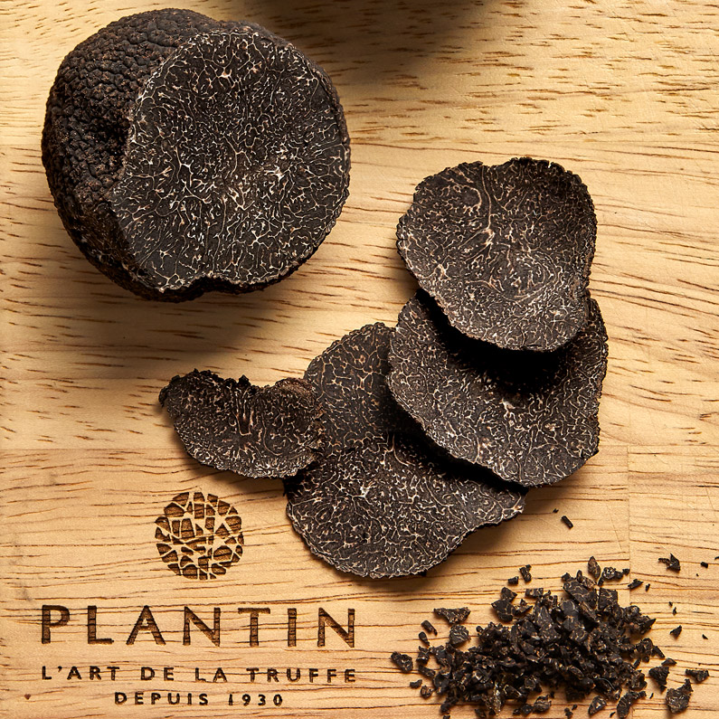 PLANTIN