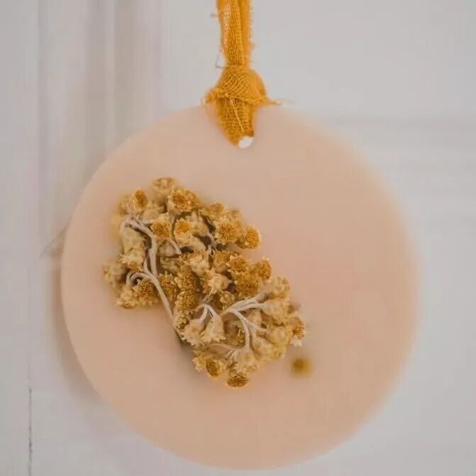 ROSIE Côte Atlantique