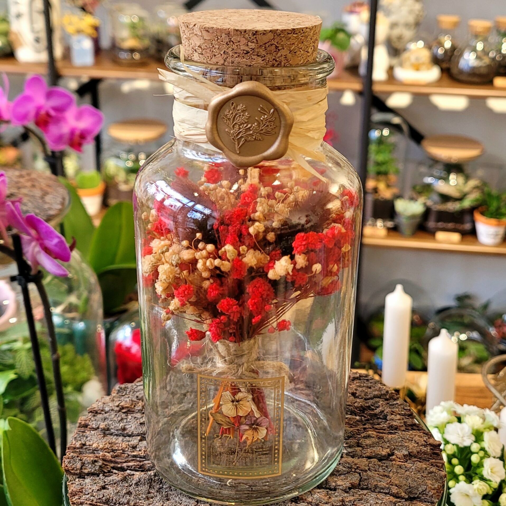 L'Odyssée Végétale