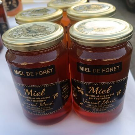 Vincentmorelapiculteur