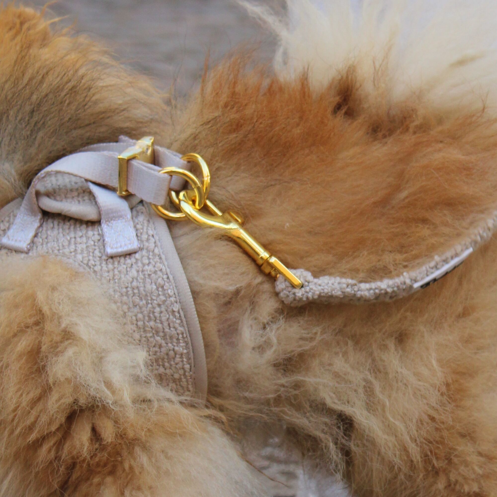 Teddyandco