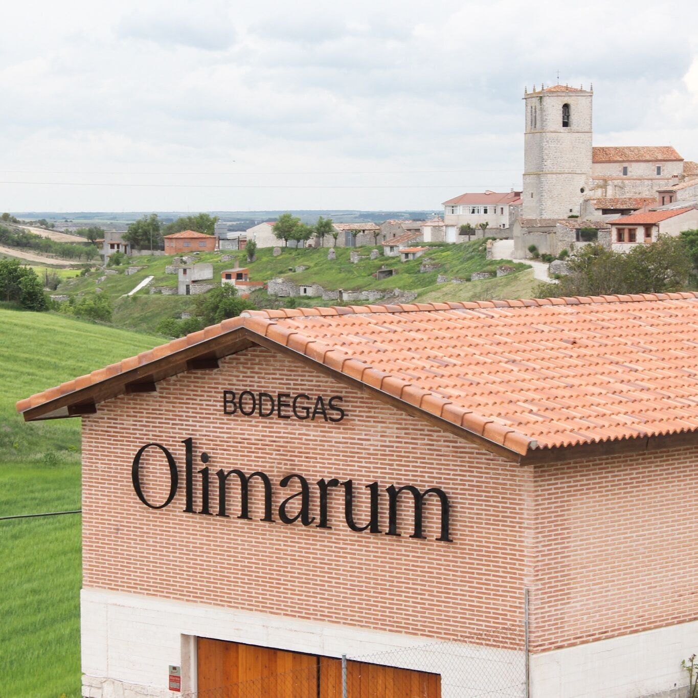 Olimarum