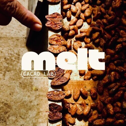 Melt Cacao Lab
