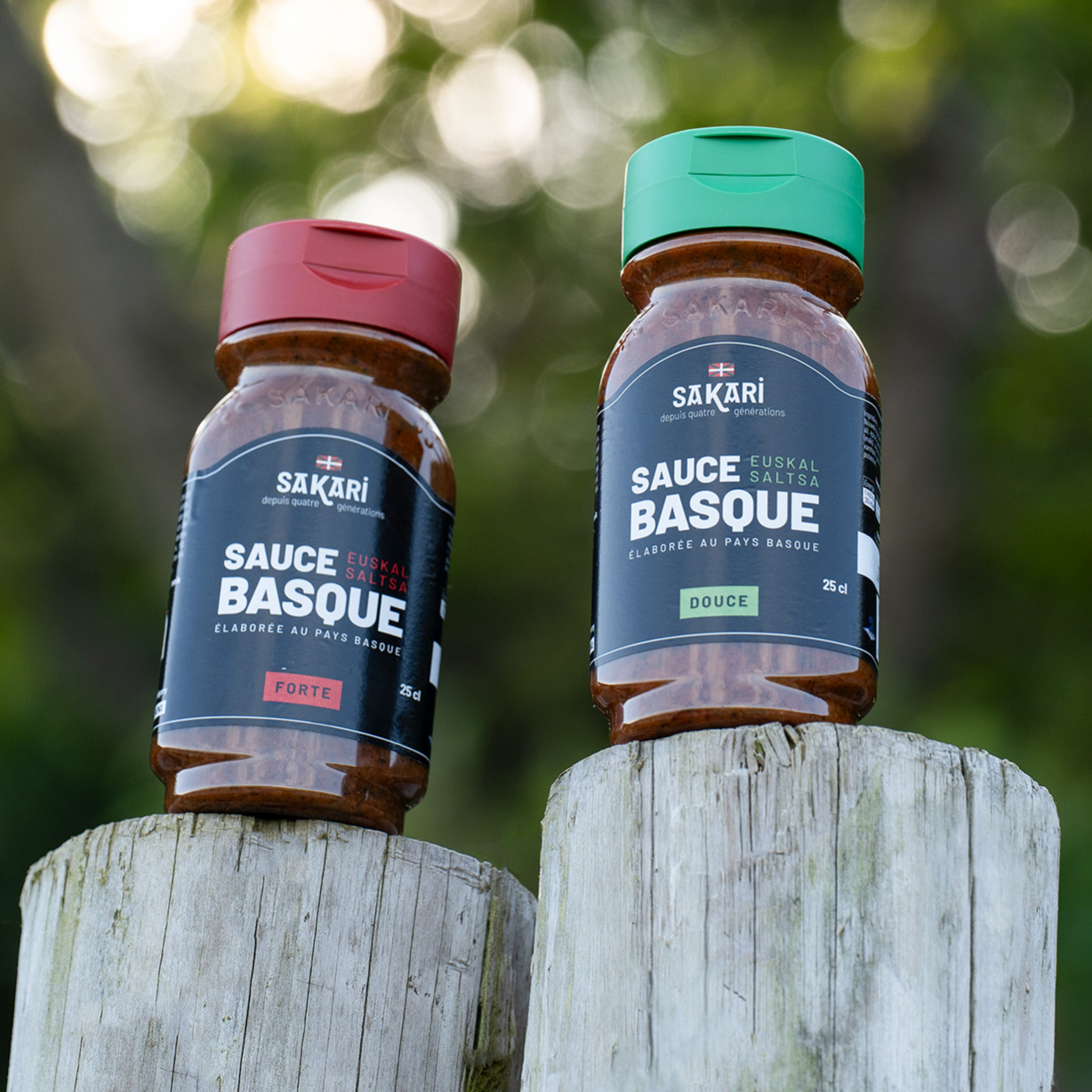 Maison Petricorena (Sakari)