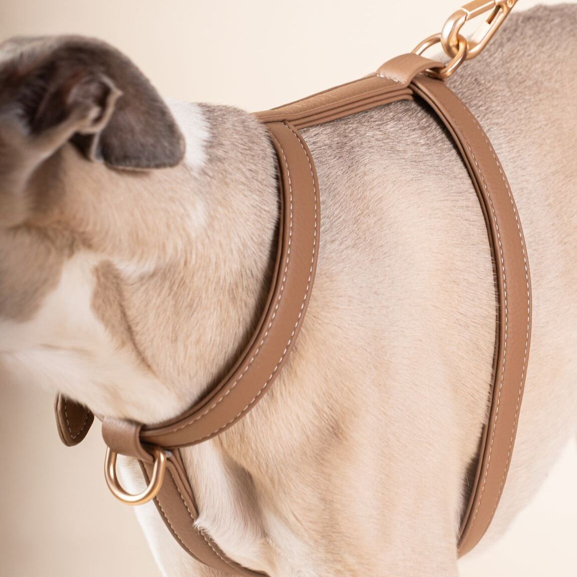 Nini dog shop