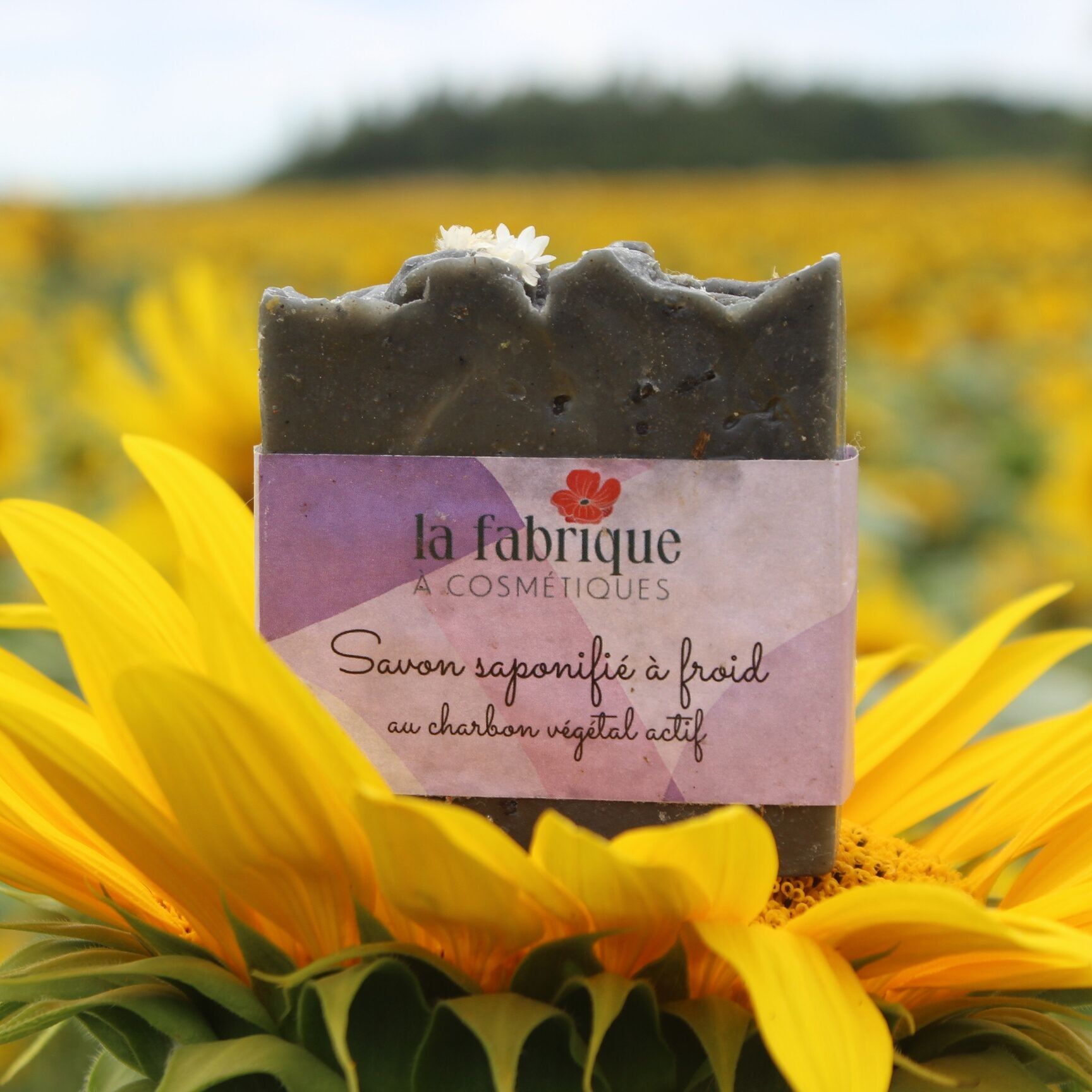 La Fabrique à Moments