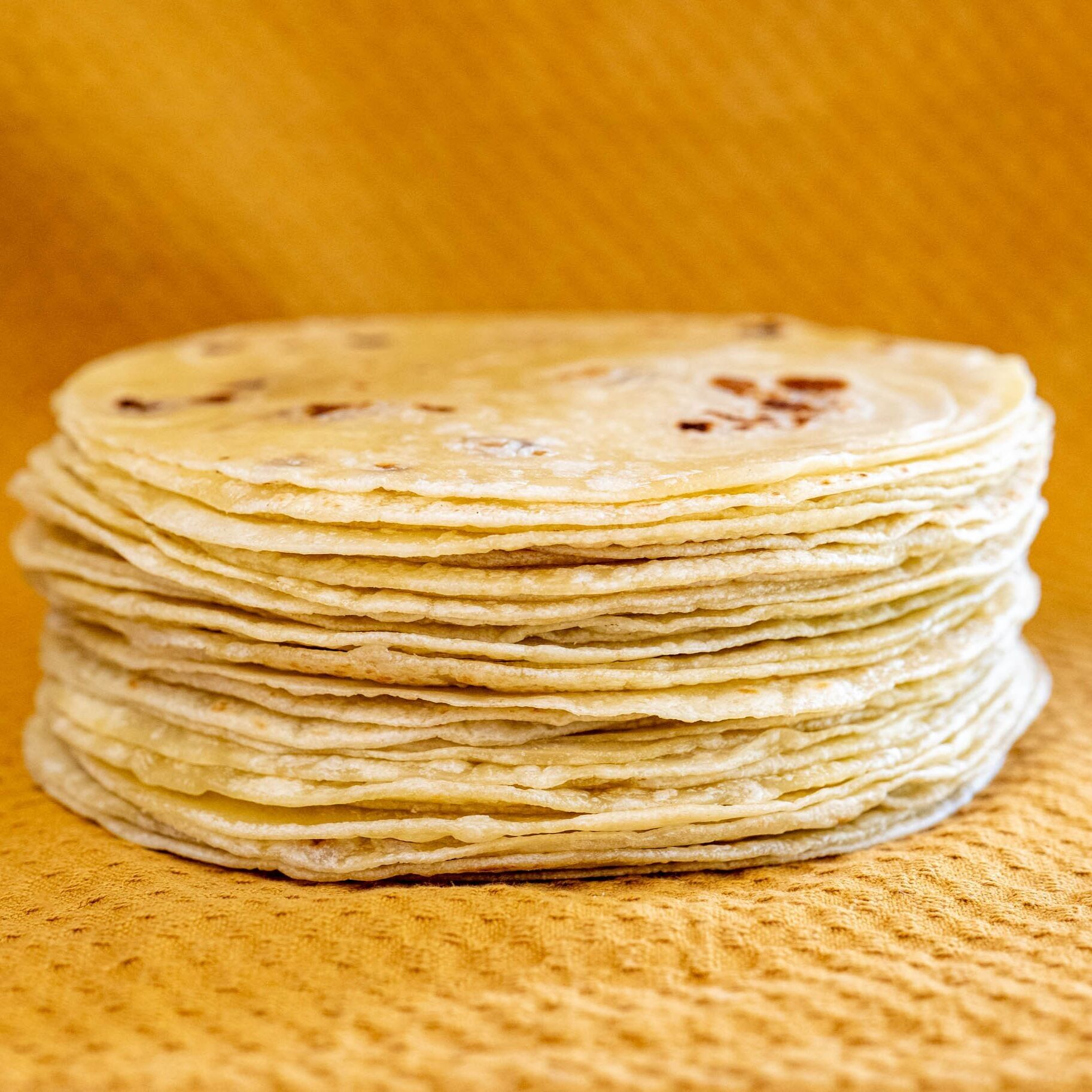Les Tortillas de Sonora