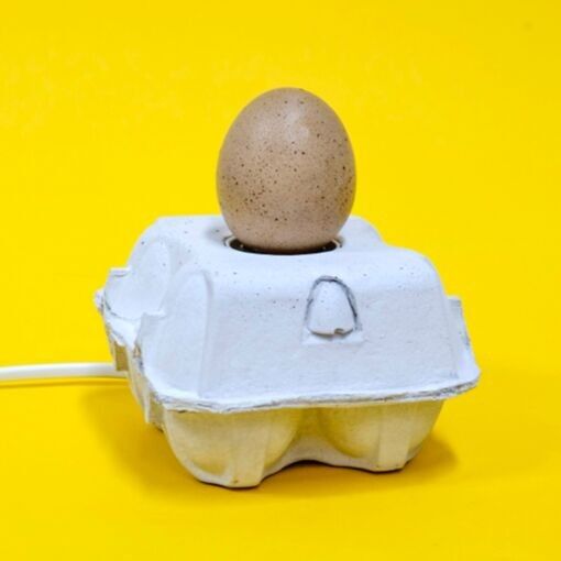 Egglamp