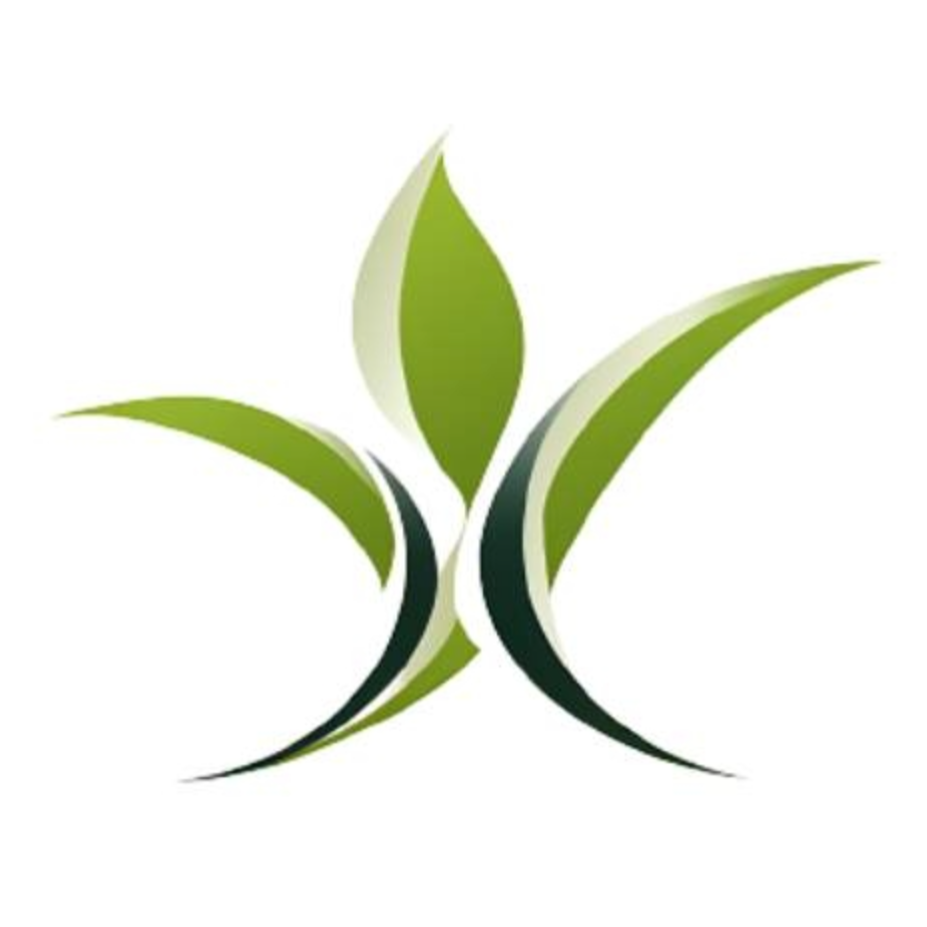 xseed limited