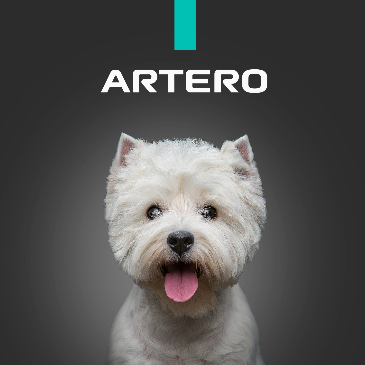 ARTERO INSPIRING STYLE S.A.