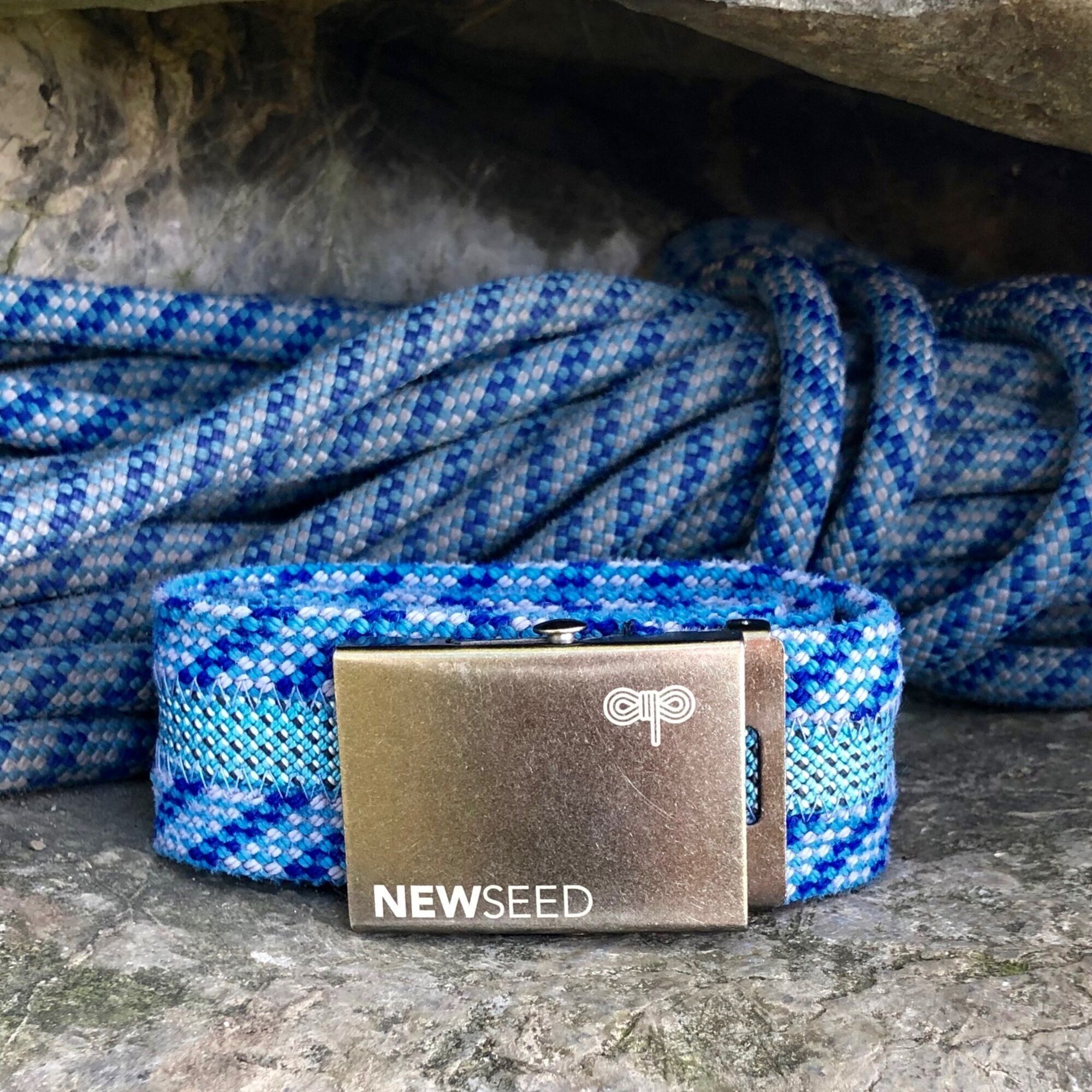NEWSEED