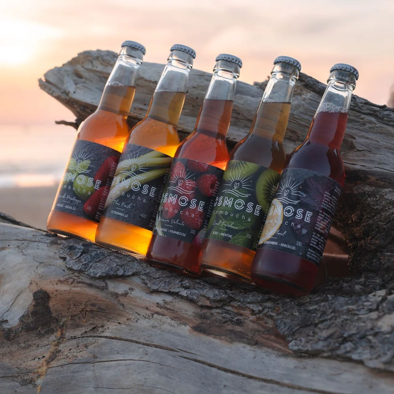 Osmose kombucha
