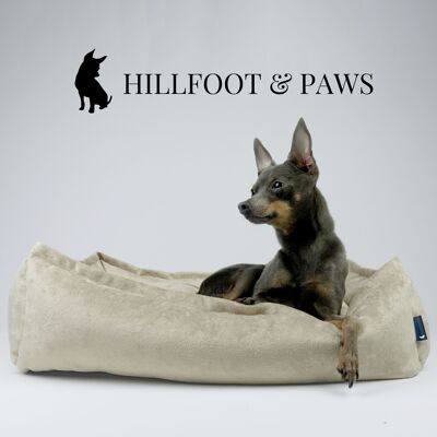 HILLFOOT & PAWS