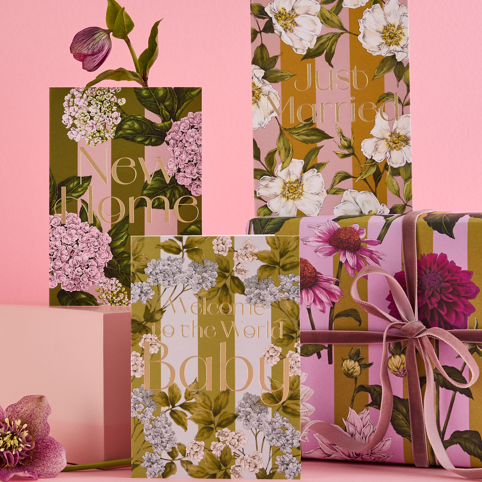 CATHERINE LEWIS DESIGN
