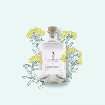 Helichrysum Lovely Tuscan Gin