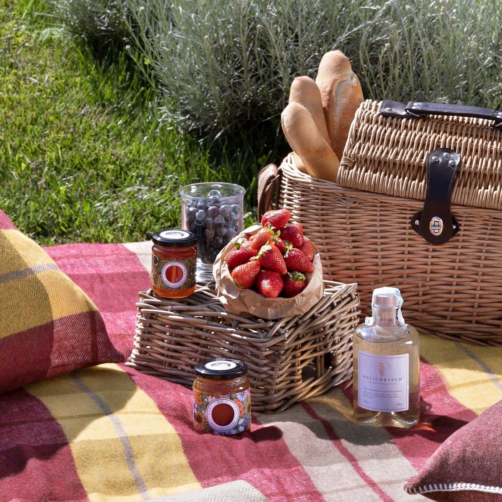 Helichrysum Lovely Tuscan Gin