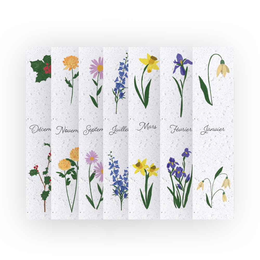 12 Pflanzbare Lesezeichen, Geburtsblumen