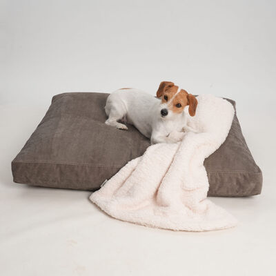 Coussin pour chien Madison Stone