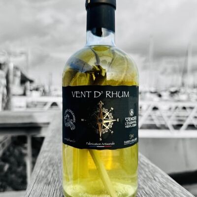 MINT LEMON GINGER 32%VOL 70CL
