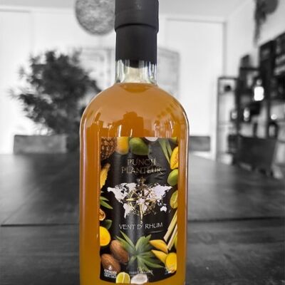 PLANTER PASIÓN LIMÓN JENGIBRE 14%VOL 70CL