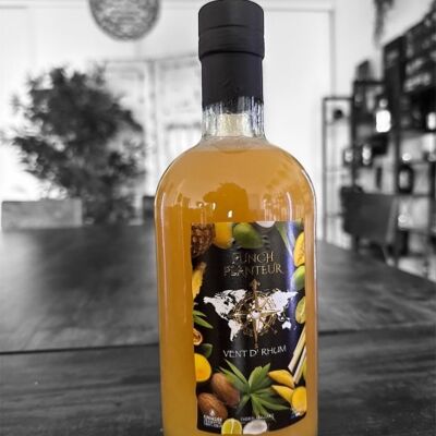 PLANTEUR ANANAS COCO 14%VOL 70CL