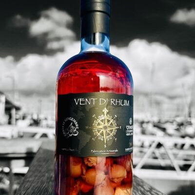 CHERRY GINGER 32% VOL 70CL