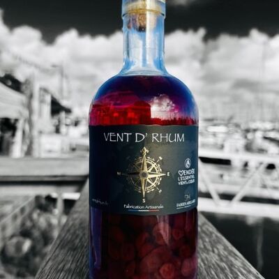 CRANBERRY 32% VOL 70CL