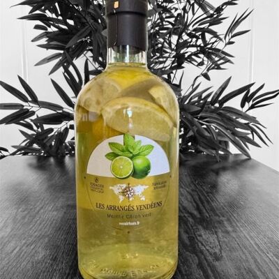 MENTA LIME 25%VOL 70CL