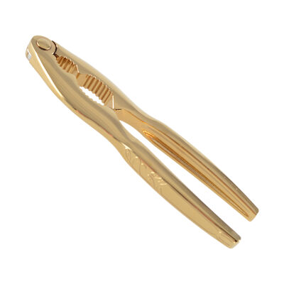 Golden Nutcracker