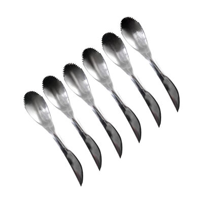 Set of 6 stainless steel kiwi/grapefruit spoons