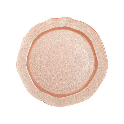 SALMON DINNER PLATE