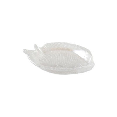 Pecera de vidrio lustrado de 17".5 x 14.5cm