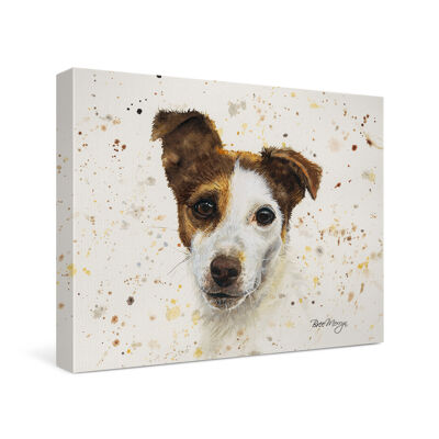 Jake Canvas Cutie